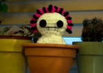 Creepy Cute Cactus